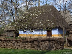 Румыния 2014 Музей села в Бухаресте
