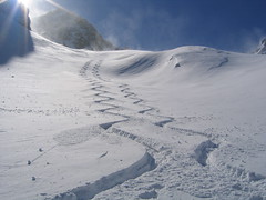 Traces Ski de Randonnée/ Backcountry skiing tracks