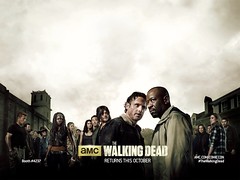The Walking Dead Collection 6ª Temporada