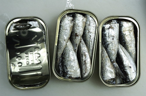 still life of sardines