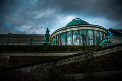 Jardin Botanique (Bruxelles)