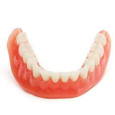 Precision Implants Restoration Teeth Demo Model Dental Overdenture Emulational (1120447) #Banggood