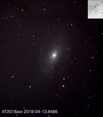 M81 Novae