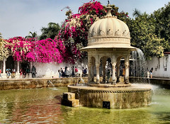 Udaipur - उदयपुर - India