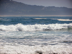 waves-olas