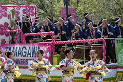 2018 DC Cherry Blossom Festival and Sakura Matsuri