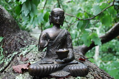 ᴴᴰBalanced Buddha