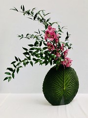 Ikebana. El amor, el hombre, la naturaleza