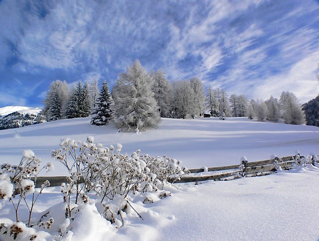 Winter Wonderland | Flickr  Photo Sharing!