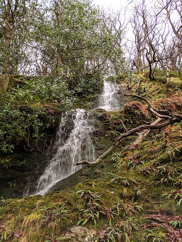 waterfall @ Glendalough Monastic Site
