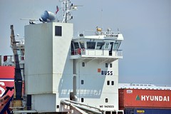 Container ships - less than 8,000 teu