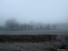 Венгрия 2012 Туманное время