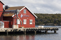 Fiskehavn 1