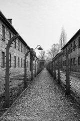 Auschwitz - 2018