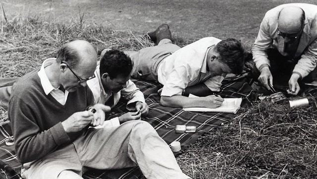 W. H. Dowdeswell K. G. 麦克沃特,R. Creed和E. B. 福特在研究梅多布朗蝴蝶标本，20世纪60年代末 