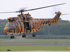 Westland Helicopters