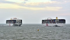 Container ships - over 8,000 teu