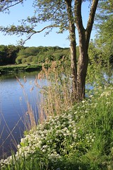 The River Weaver Way, Cheshire