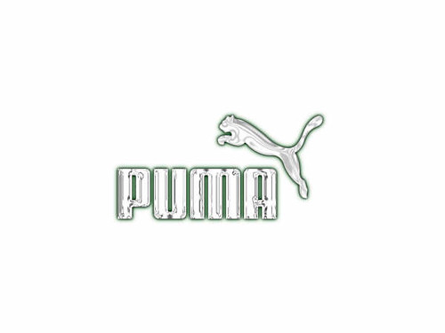 Puma Logo BLINGjpg obsessed