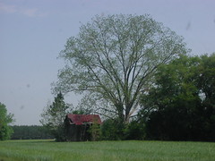 rural South Carolina
