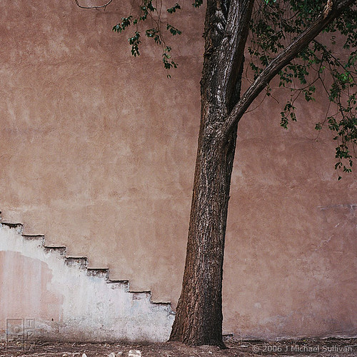 Tree & Wall, Study (old version) by JMichaelSullivan