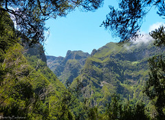 Madeira 2012