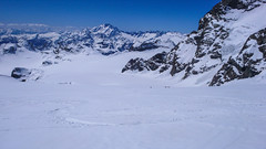 Zjazd lodowcem Vadretta di Fellaria, z przełęczy Bella Vista 3688m do schroniska Marinelli Bombardieri. W tle szczyt Monte Disgrazia.