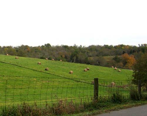 Rural outskirts, Fayette County, Kentucky
