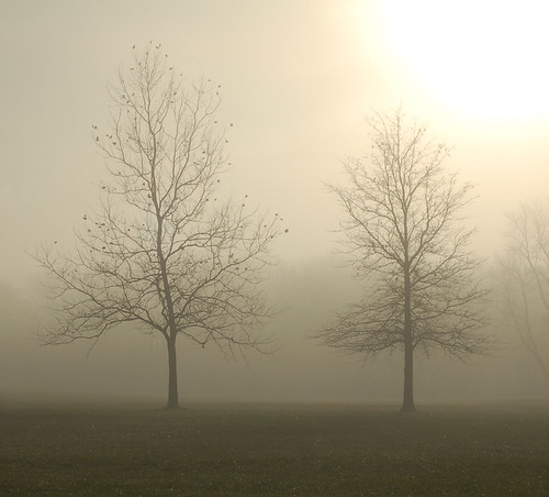 misty morning by John Kratz