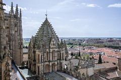 Catedral Vieja de Salamanca (España) 