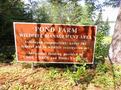 Pond Farm Howland Maine July 2017