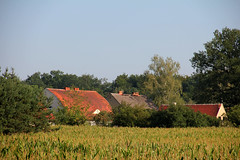 Bąków village
