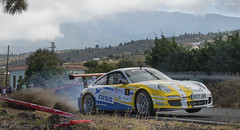 Porsche in Rallye