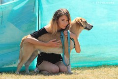 Jerry Green dog rescue summer show 2018