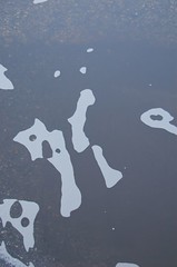 The World in a Puddle