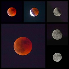Eclipse Total de Luna de Sangre  Gran Canaria