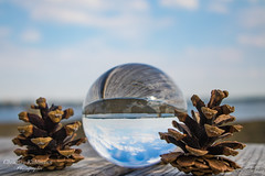 Glaskugel / Glass sphere