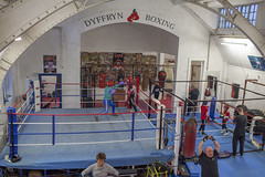 Dyffryn Boxing Club