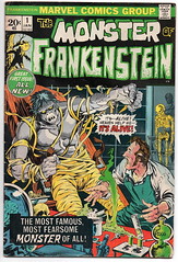 The Monster of Frankenstein #1
