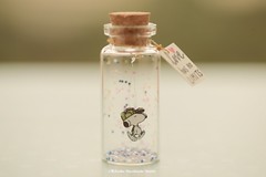 Love has no limits, Tiny message in a bottle,Miniatures,Personalised Gift,love,Valentine Card,Gift for her/him,Girlfriend gift, birthday card, holiday card and funny card ideas