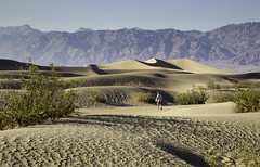 Death Valley Road Trip