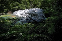 Water Falls/Streams