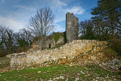 Ain - Château de Jasseron