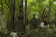 NYC: Acacia, Bayside, and Mokom Sholom Cemeteries