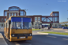 Public transportation in Feteşti