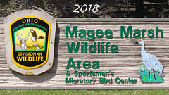 Magee Marsg,Ohio 2018