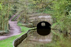 The Peak Forest Canal