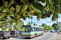 Trolleybuses in Bucharest