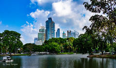 Feb 2015 Bangkok Lumphini Park