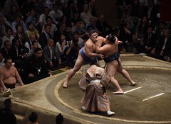 Sumo May 21st 2018